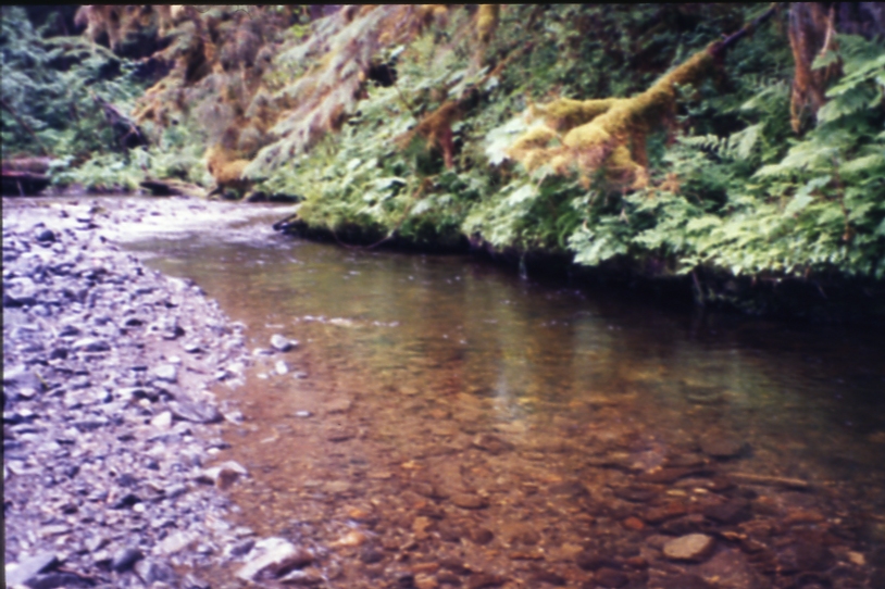 CCA 2 pool 7; Kadashan River