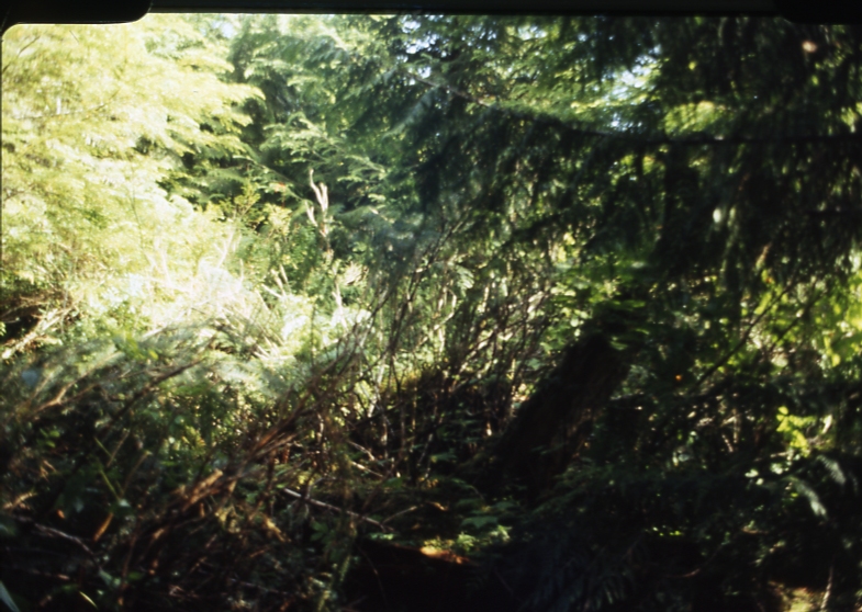 419 2-45deg; Coffman cove