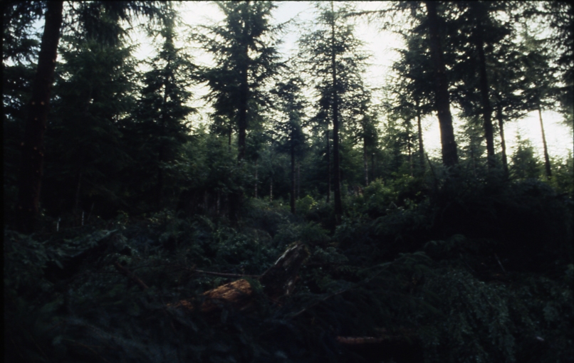 418 2-3; Coffman cove 418 2-3; Coffman cove