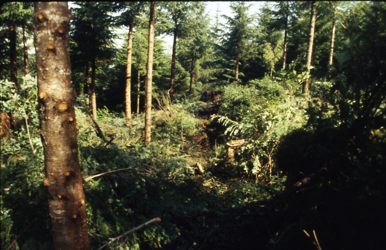 418 4-3; Coffman cove 418 4-3; Coffman cove