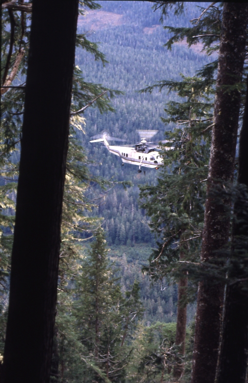 helicopter yarding in unit 2; portage bay harvest