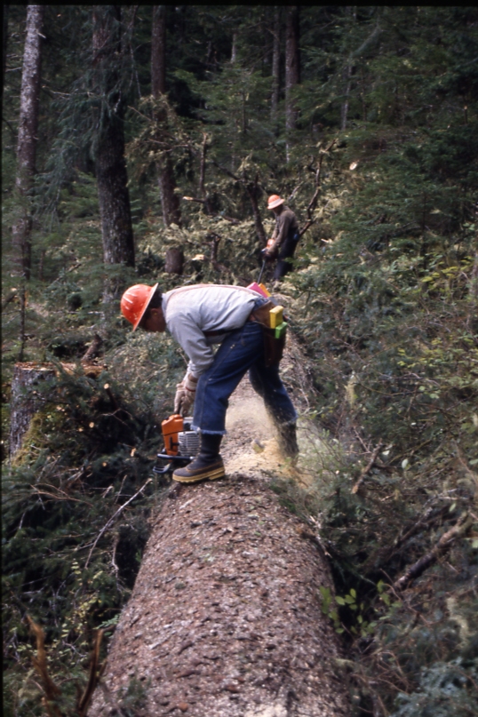 measuring and bucking in unit 3; portage bay harvest