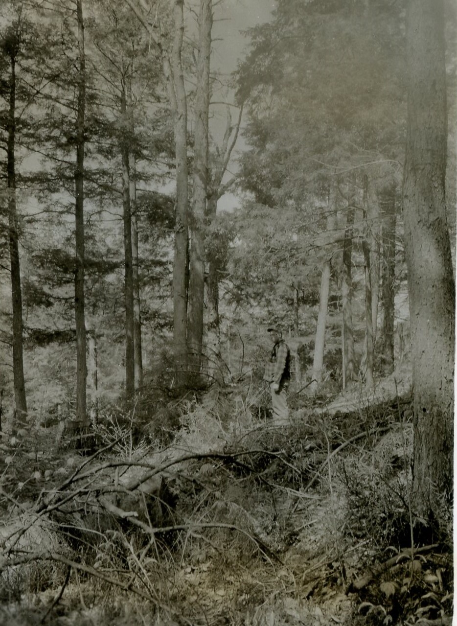 Image taken at coordinates 76-20, direction N87W, distance 40 chains, with a bearing of S33E from stake.