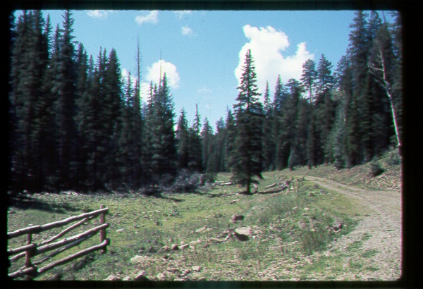 Fall in the White Mountains, Arizona
