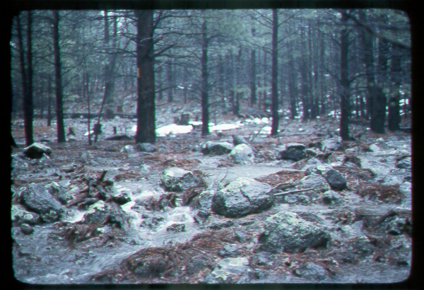 Overland Flow on Beaver Creek, Arizona