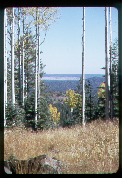 View from Hutch Mountain