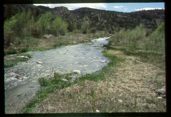 Riparian Area on the Navajo Reservation, Arizona