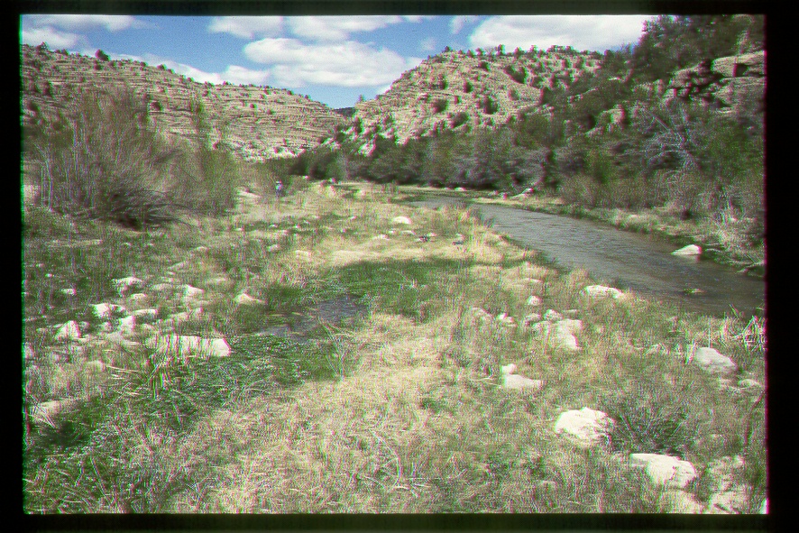 Riparian Area on the Navajo Reservation, Arizona