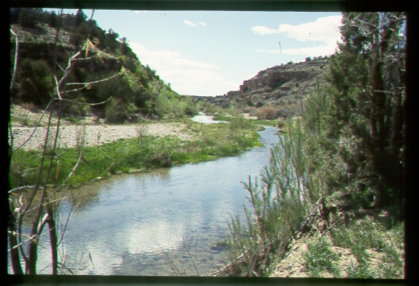 Riparian Area on the Navajo Reservation, Arizona