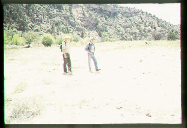 Riparian Area on the Navajo Reservation, Arizona