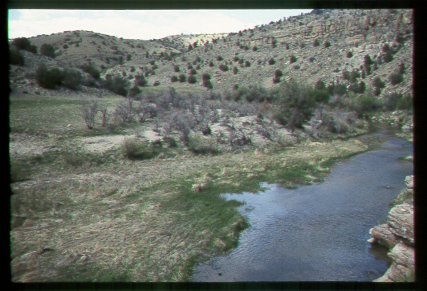 Riparian Area on the Navajo Reservation, Arizona