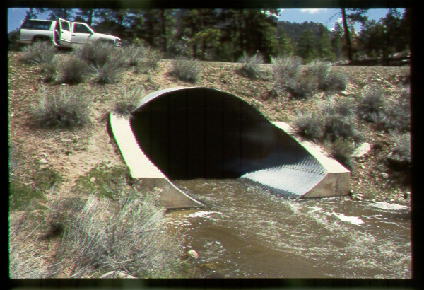 Road Crossing Riparian Area, Arizona