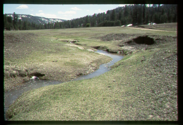 Riparian Area on the Navajo Reservation, Arizona