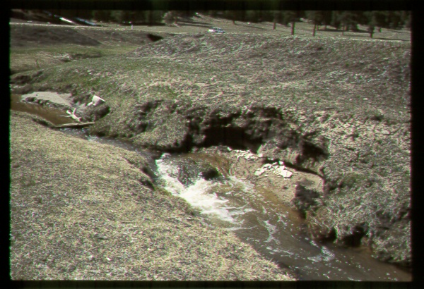 Riparian Area on the Navajo Reservation, Arizona