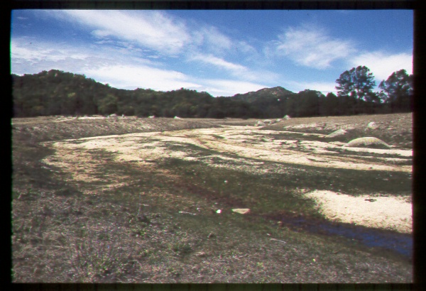 Influence of Recreation on Riparian Area