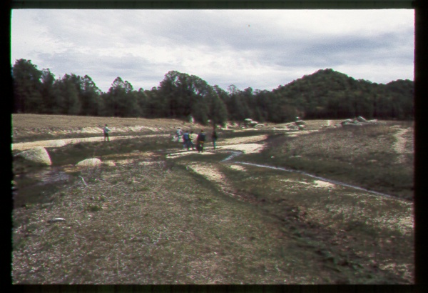 Influence of Recreation on Riparian Area