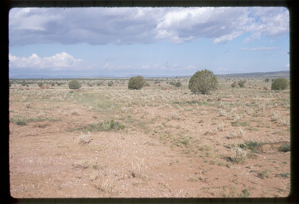 Muldoon Allotment, Arizona