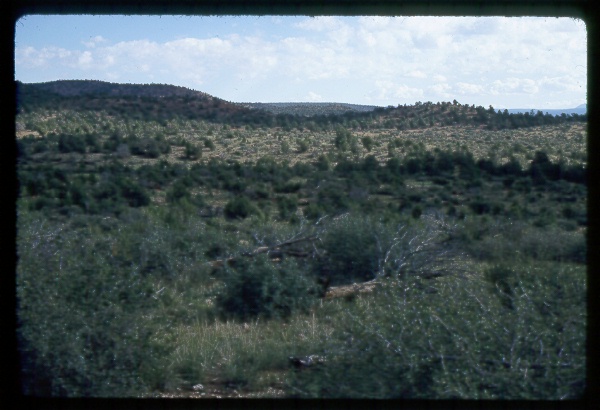 Early Treatment Reverting Back to Chaparral, Arizona