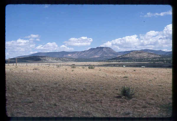 West Bear Allotment, Arizona