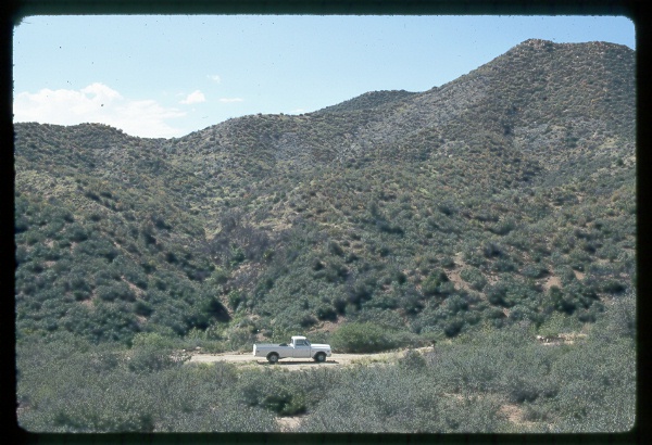3 Bar B, Arizona