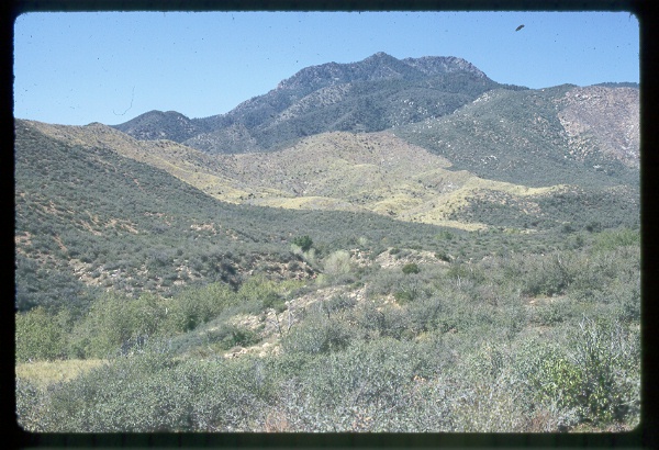 3 Bar C Herbicide Treatment, Arizona