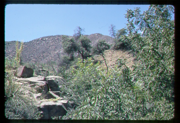 3 Bar F Watershed Treatment, Arizona