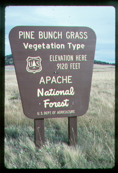 http://www.rmrs.nau.edu/publications/RMRS_GTR_29/index.html