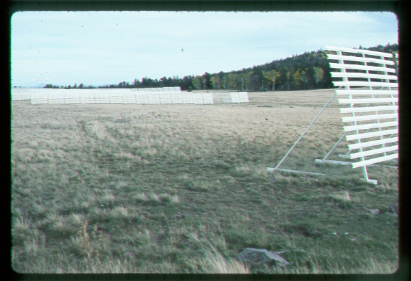 Snow Fences in the White Mountains, Arizona