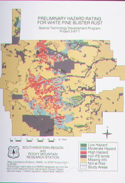 Preliminary hazard rating map of white pine blister rust for the Lincoln National Forest