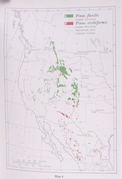 Distribution of  Pinus flexilis and Pinus strobiformis in western US