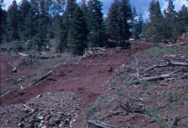 "Thank-you-maam's" along a logging road recently put to bed