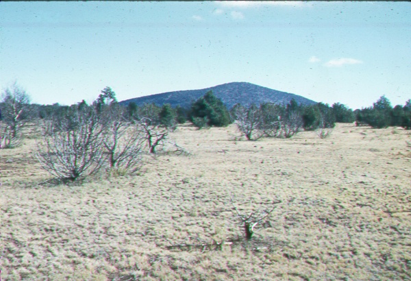 Clearing in pinyon-juniper made by burning individual trees