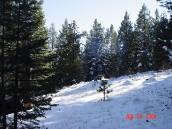 The ridge bewteen North and South Forks of Thomas Creek.