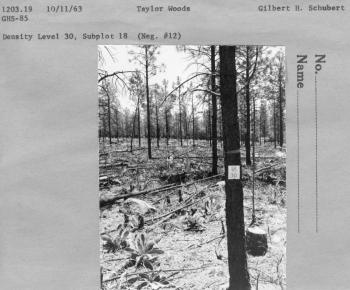 Density Level 30, Subplot 18,  (Neg #12)