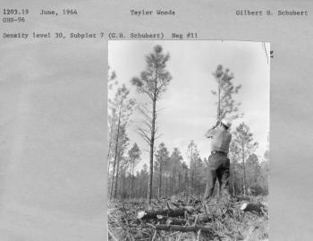 Density Level 30, Subplot 7  (G.H. Schubert) Neg #11