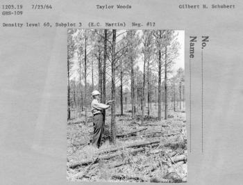 measuring diameters in Taylor Woods