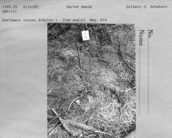 Northwest corner Subplot 1 (low angle) Neg. #16