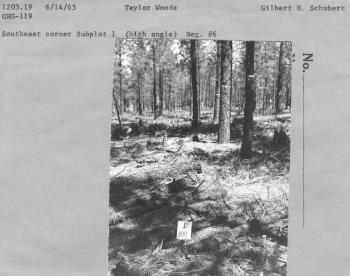 Southeast corner subplot 1 (high angle)  Neg. #6 