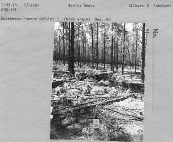 Northwest corner Subplot 1 (high angle) Neg. #8