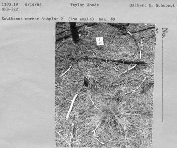 Southeast corner subplot 2 (low angle)  Neg. #9
