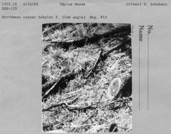 Northwest corner Subplot 3 (low angle) Neg. #13 Northwest corner Subplot 3 (low angle) Neg. #13