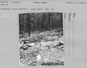 Southeast corner subplot 4 (high angle) Neg. #15 Southeast corner subplot 4 (high angle) Neg. #15