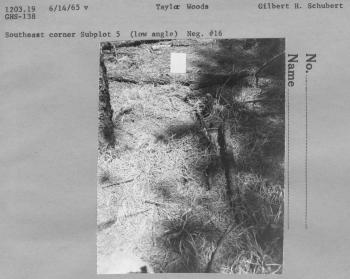 Southeast corner subplot 5 (low angle) Neg. #16 Southeast corner subplot 5 (low angle) Neg. #16