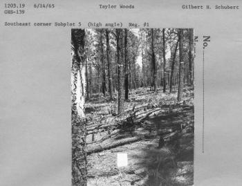 Southeast corner subplot 5 (high angle) Neg. #1 Southeast corner subplot 5 (high angle) Neg. #1