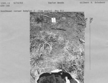 Southeast corner subplot 7 (low angle) Neg. #11 Southeast corner subplot 7 (low angle) Neg. #11