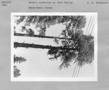 Hazard reduction at Fort Valley Experiment Station Hazard reduction at Fort Valley Experiment Station