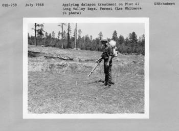 chemical treatment on research plot
