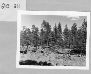 Plot 9 Neg #15
