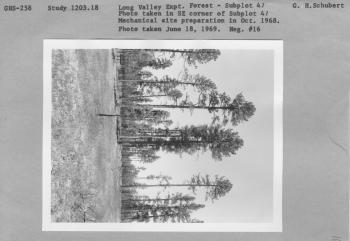 research plot