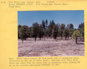 Repeat #F449261 (1943). Note: photo taken towards SW from north side of abandoned fence delineated by the row of fence posts. Contrast with photo R-24 which was taken from the south side of abandoned fence looking NW as in the original photograph #F449261